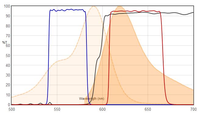 Alexa Fluor 594 VS JNO-R1(B)