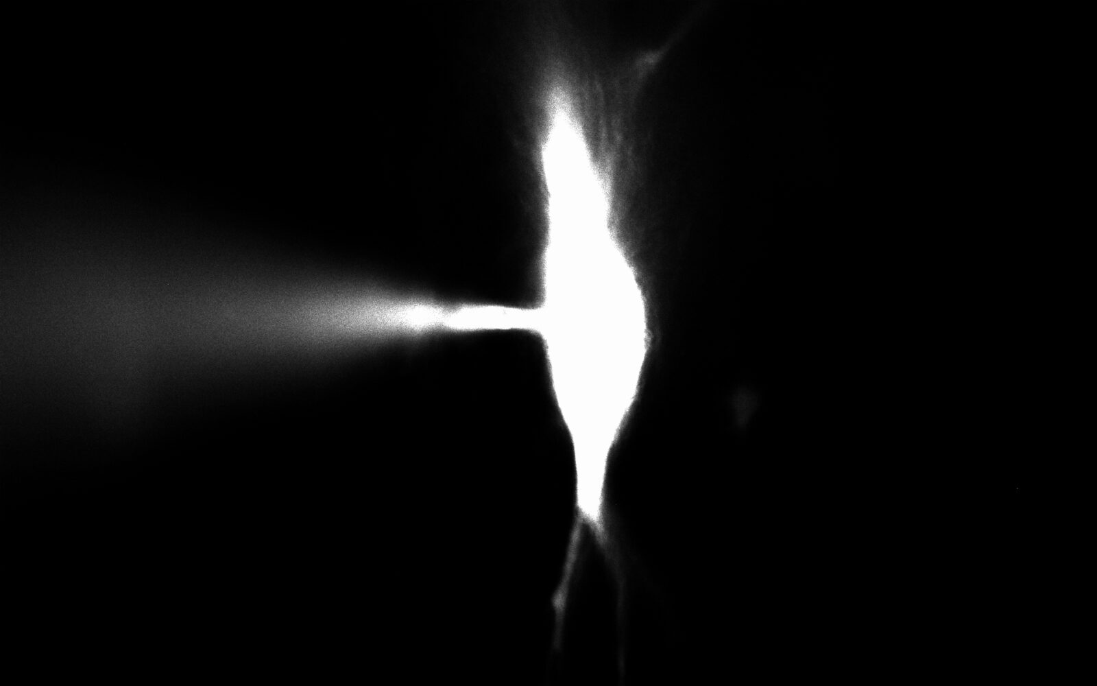CA3 pyramidal neuron with Alexa Fluor 488