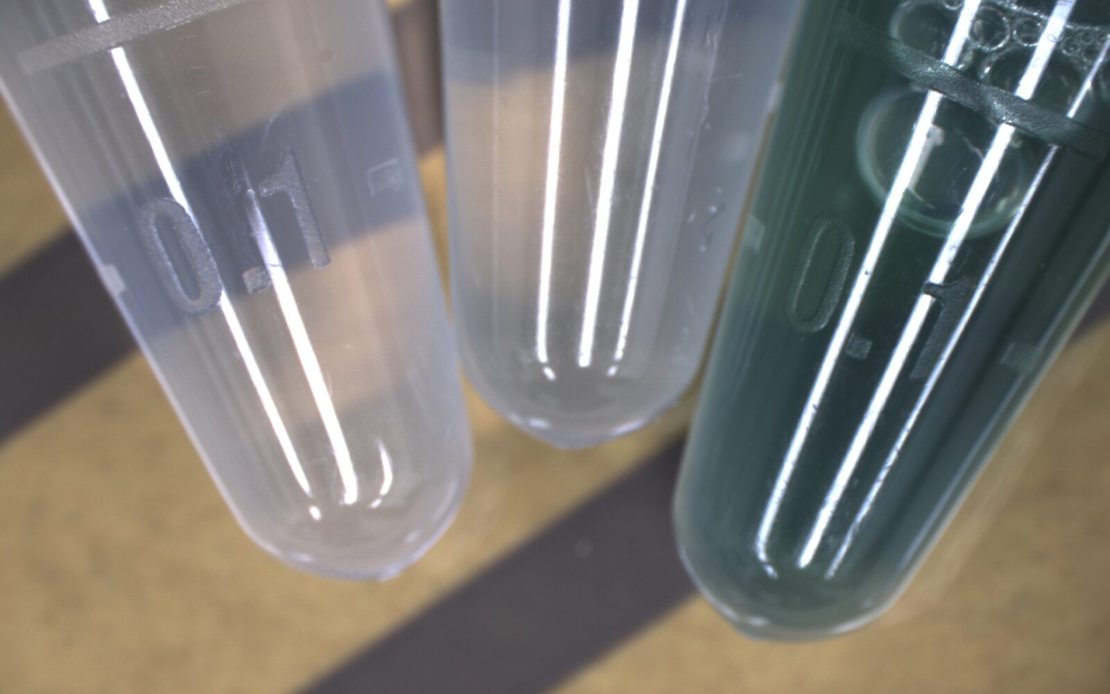 Indocyanine Green (ICG) _ Bright Field Image