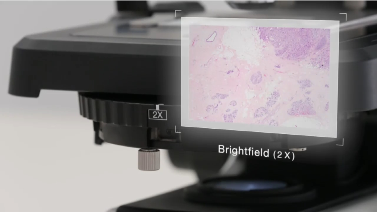 Flexibility for Multiple Applications for CX43