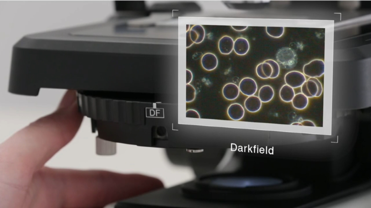Flexibility for Multiple Applications for CX43