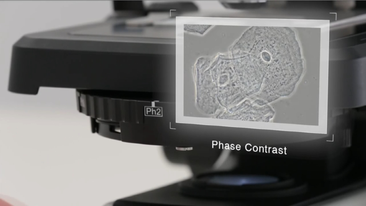 Flexibility for Multiple Applications for CX43