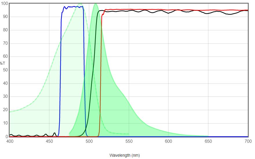 GFP VS JNO-B(L)