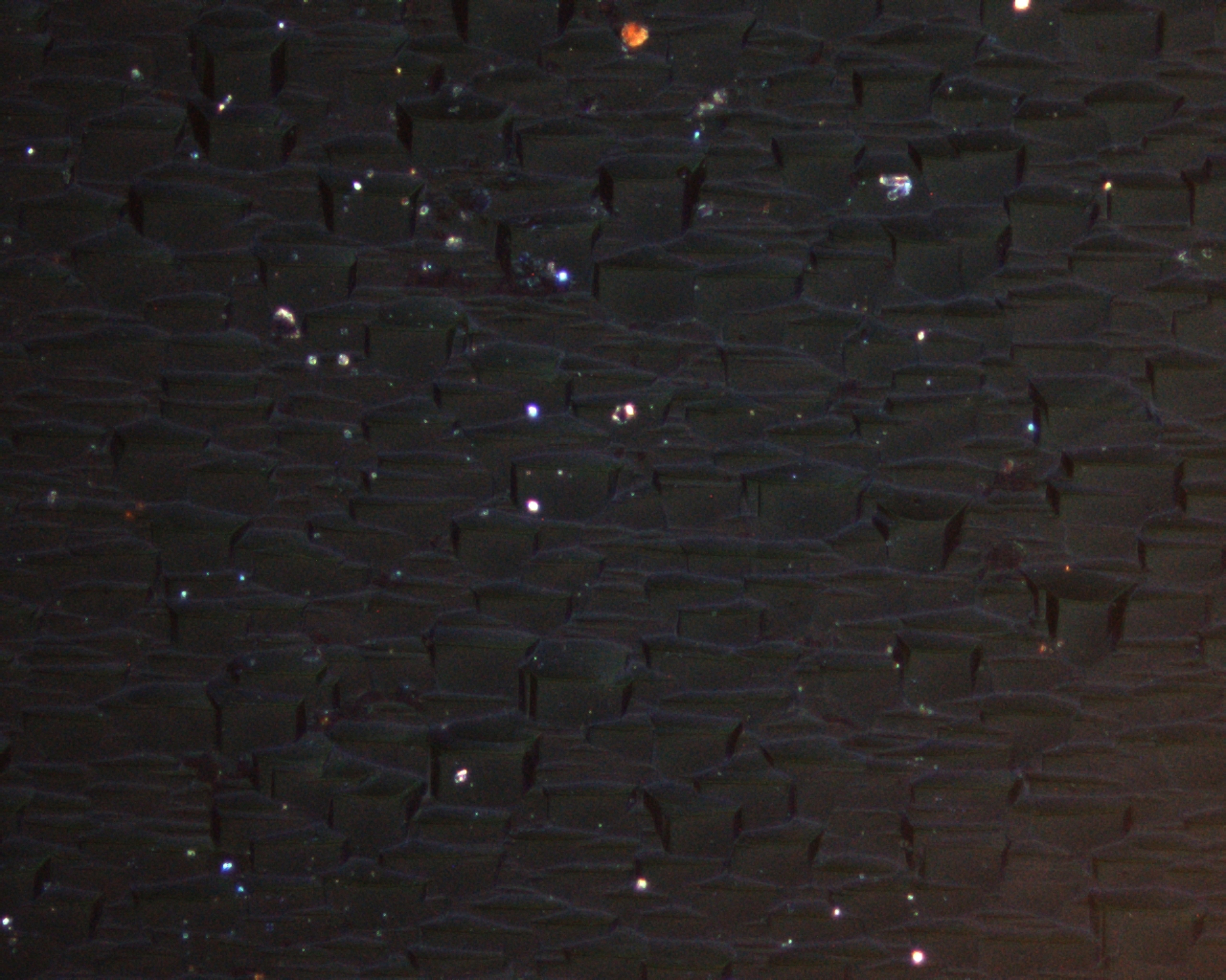 Inverted Microscope : JNO-CKX53M Simple Polarizing Microscopy