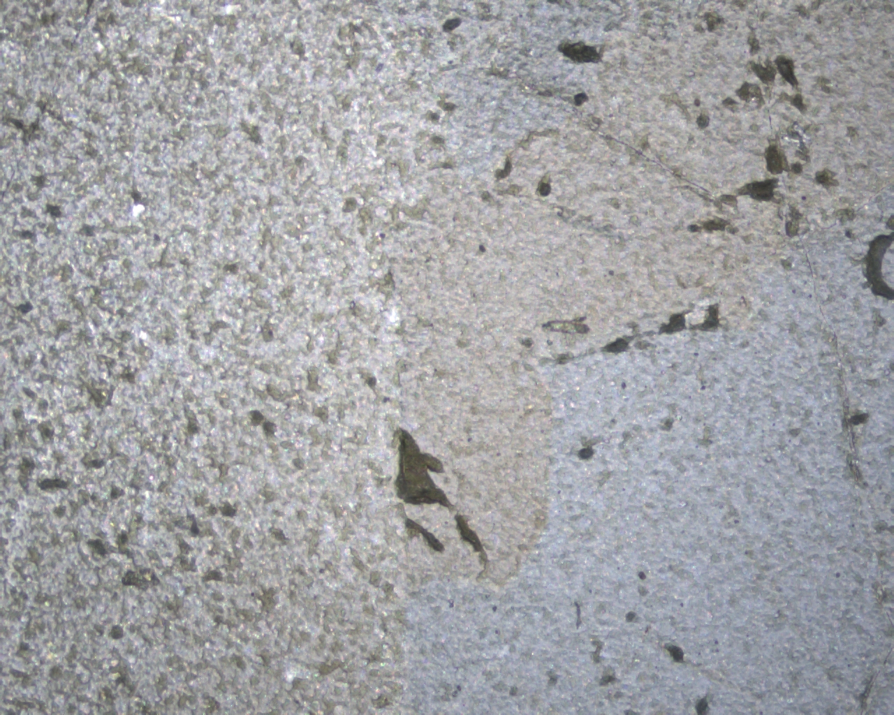 Inverted Microscope : JNO-CKX53M Simple Polarizing Microscopy