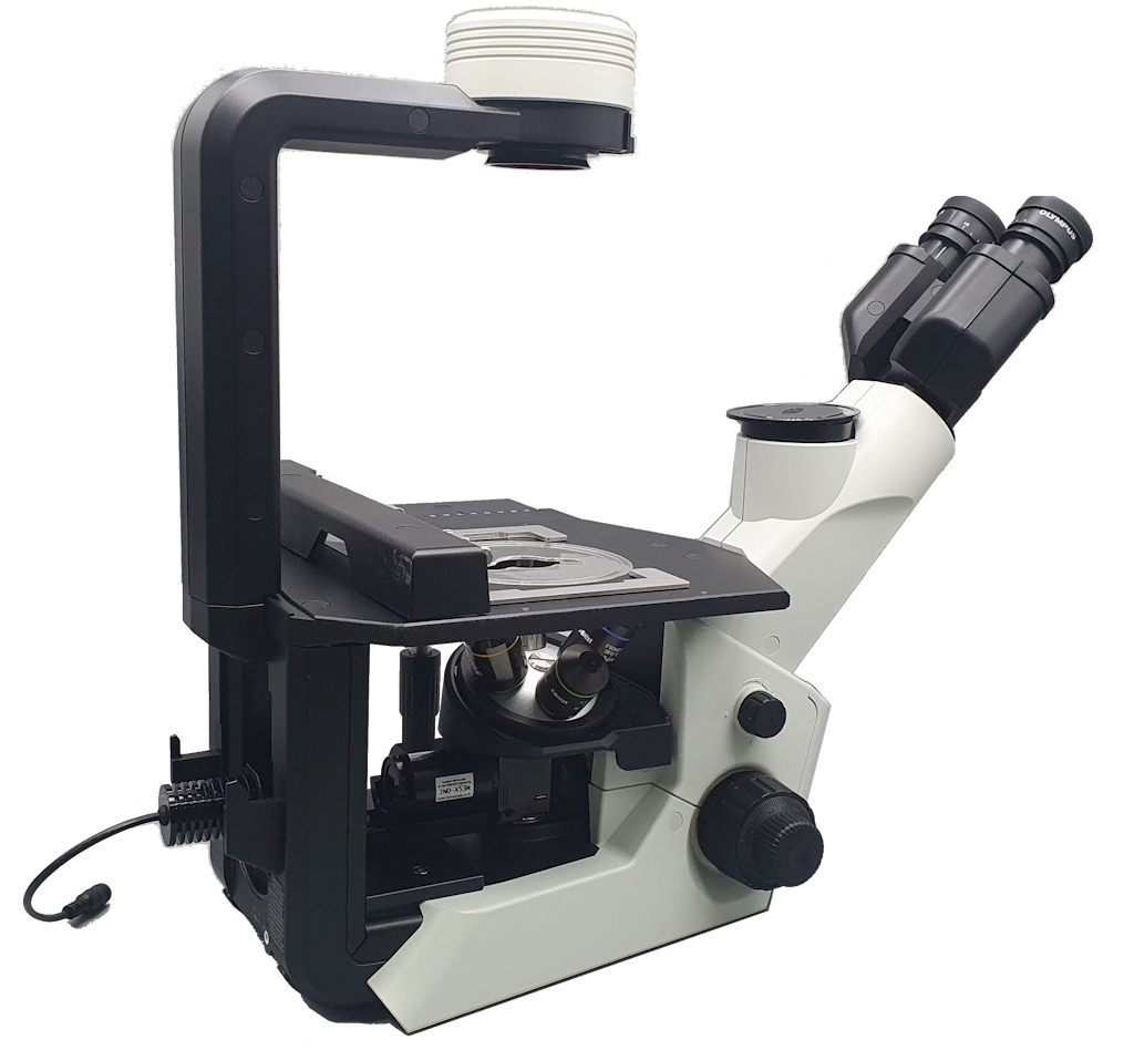 Inverted Microscope JNO-CKX53M