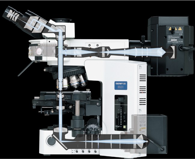 OLYMPUS BX51 Series